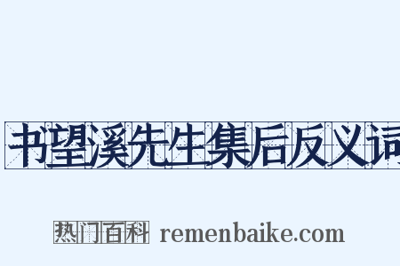 书望溪先生集后反义词是什么意思的图片